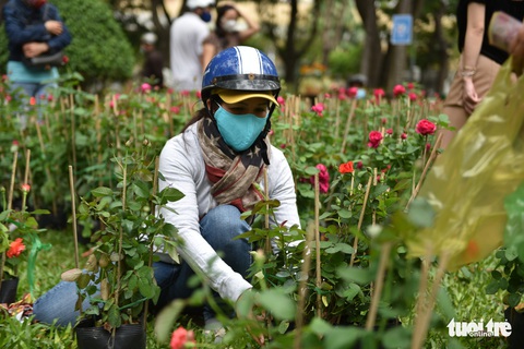 Tiểu thương miền Tây mừng vì 30 Tết không phải đập chậu - Ảnh 4. Tiểu thương miền Tây mừng vì 30 Tết không phải đập chậu - Ảnh 4.
