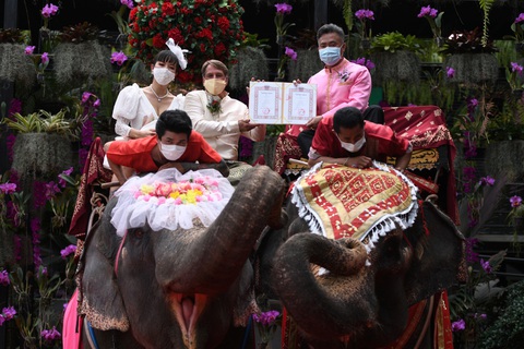 52 cặp đôi Thái làm đám cưới trên lưng voi vào ngày Lễ tình nhân - Ảnh 1. 52 cặp đôi Thái làm đám cưới trên lưng voi vào ngày Lễ tình nhân - Ảnh 1.