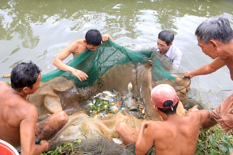 Tết xưa - Tết nay: Cả năm túng thiếu, Tết chỉ cần tháo đìa là đủ tiền sắm thịt - Ảnh 2. Tết xưa - Tết nay: Cả năm túng thiếu, Tết chỉ cần tháo đìa là đủ tiền sắm thịt - Ảnh 2.