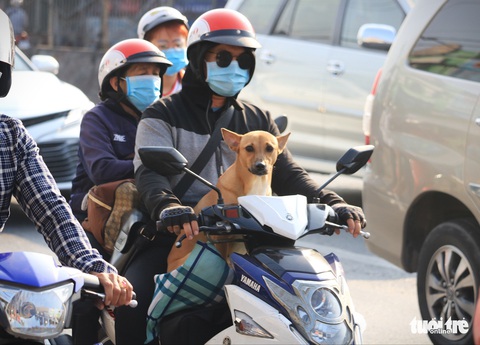 Bà con các tỉnh trở lại Sài Gòn sau Tết thưa hơn mọi năm, bến xe vẫn siết phòng dịch - Ảnh 5. Bà con các tỉnh trở lại Sài Gòn sau Tết thưa hơn mọi năm, bến xe vẫn siết phòng dịch - Ảnh 5.