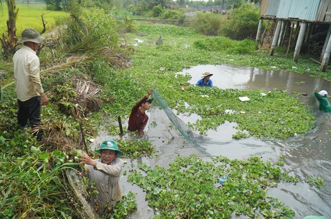 Độ mặn giảm nhưng xâm nhập sâu, nhiều tỉnh miền Tây khuyến cáo trữ nước ngọt - Ảnh 2. Độ mặn giảm nhưng xâm nhập sâu, nhiều tỉnh miền Tây khuyến cáo trữ nước ngọt - Ảnh 2.