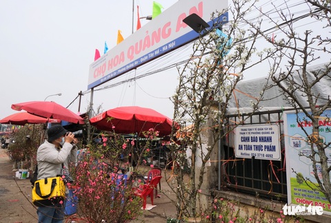 Ngẩn ngơ ngắm hoa lê trắng muốt xuống phố Hà thành - Ảnh 8. Ngẩn ngơ ngắm hoa lê trắng muốt xuống phố Hà thành - Ảnh 8.