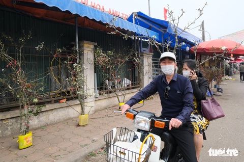 Ngẩn ngơ ngắm hoa lê trắng muốt xuống phố Hà thành - Ảnh 3. Ngẩn ngơ ngắm hoa lê trắng muốt xuống phố Hà thành - Ảnh 3.