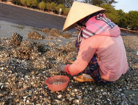 Đầu năm ăn hàu cho sung để cả năm được sướng - Ảnh 2. Đầu năm ăn hàu cho sung để cả năm được sướng - Ảnh 2.