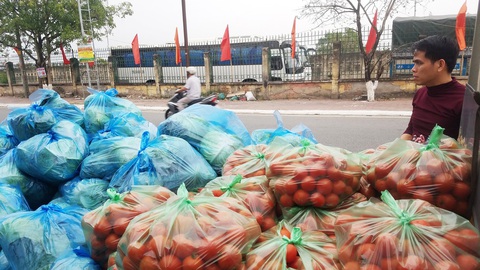 Nhiều nông sản Hải Phòng mong được giải cứu - Ảnh 2. Nhiều nông sản Hải Phòng mong được giải cứu - Ảnh 2.