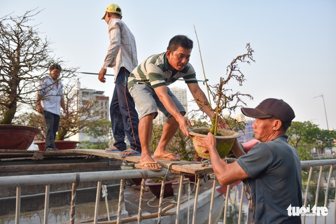 Thuyền hoa cập Bến Bình Đông chở tết đến Sài Gòn - Ảnh 3. Thuyền hoa cập Bến Bình Đông chở tết đến Sài Gòn - Ảnh 3.