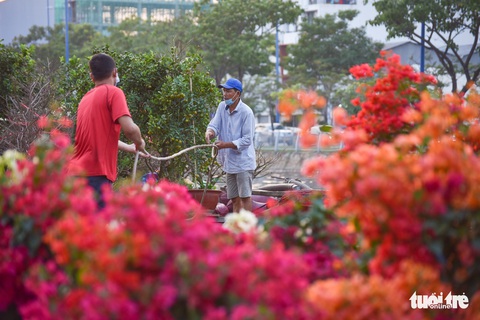 Thuyền hoa cập Bến Bình Đông chở tết đến Sài Gòn - Ảnh 1. Thuyền hoa cập Bến Bình Đông chở tết đến Sài Gòn - Ảnh 1.