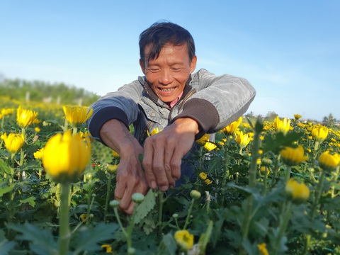 Đoạn kết có hậu cho người đàn ông bị kẻ xấu phá 400 chậu hoa cúc - Ảnh 1. Đoạn kết có hậu cho người đàn ông bị kẻ xấu phá 400 chậu hoa cúc - Ảnh 1.