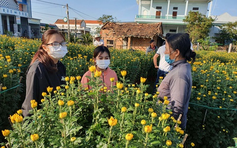 Những chậu hoa từ lòng tốt - Ảnh 1. Những chậu hoa từ lòng tốt - Ảnh 1.