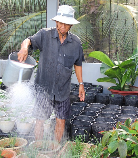 Người chỉ đạo xử lý những đại án bằng bàn tay sạch - Ảnh 1. Người chỉ đạo xử lý những đại án bằng bàn tay sạch - Ảnh 1.