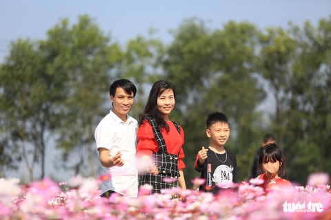 Chỉ trồng sao nhái mà lung linh ơi là lung linh - Ảnh 7. Chỉ trồng sao nhái mà lung linh ơi là lung linh - Ảnh 7.