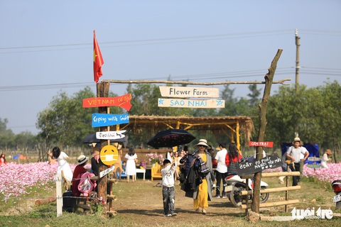 Chỉ trồng sao nhái mà lung linh ơi là lung linh - Ảnh 4. Chỉ trồng sao nhái mà lung linh ơi là lung linh - Ảnh 4.