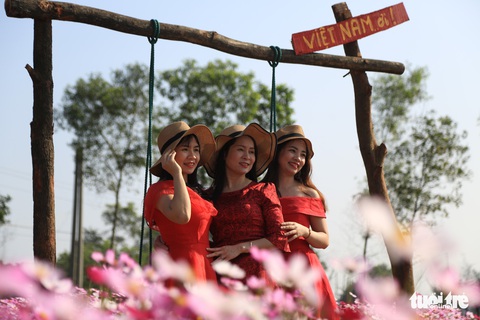 Chỉ trồng sao nhái mà lung linh ơi là lung linh - Ảnh 11. Chỉ trồng sao nhái mà lung linh ơi là lung linh - Ảnh 11.