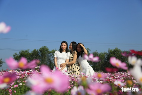 Chỉ trồng sao nhái mà lung linh ơi là lung linh - Ảnh 1. Chỉ trồng sao nhái mà lung linh ơi là lung linh - Ảnh 1.