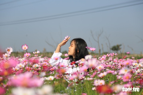 Chỉ trồng sao nhái mà lung linh ơi là lung linh - Ảnh 6. Chỉ trồng sao nhái mà lung linh ơi là lung linh - Ảnh 6.