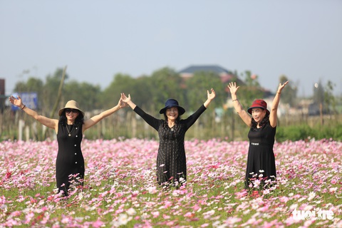 Chỉ trồng sao nhái mà lung linh ơi là lung linh - Ảnh 8. Chỉ trồng sao nhái mà lung linh ơi là lung linh - Ảnh 8.