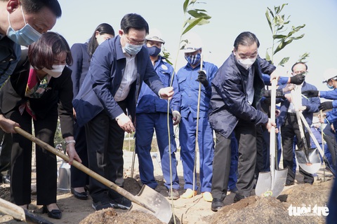 Coi cây xanh như món quà gửi con cháu mai sau - Ảnh 3. Coi cây xanh như món quà gửi con cháu mai sau - Ảnh 3.