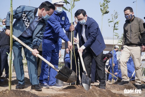 Coi cây xanh như món quà gửi con cháu mai sau - Ảnh 1. Coi cây xanh như món quà gửi con cháu mai sau - Ảnh 1.