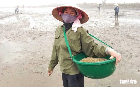 Nông dân Hải Dương giúp nhau qua đại dịch - Ảnh 3. Nông dân Hải Dương giúp nhau qua đại dịch - Ảnh 3.