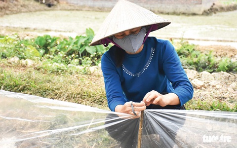 Nông dân Hải Dương giúp nhau qua đại dịch - Ảnh 5. Nông dân Hải Dương giúp nhau qua đại dịch - Ảnh 5.