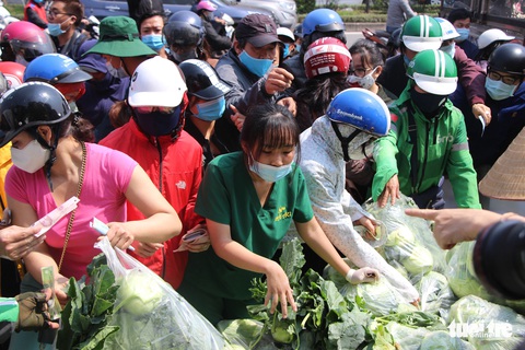 Người Hà Nội chung tay giải cứu nông sản Hải Dương - Ảnh 10. Người Hà Nội chung tay giải cứu nông sản Hải Dương - Ảnh 10.
