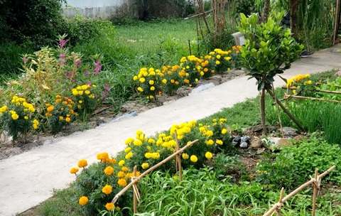 Tết xưa - Tết nay: Phải chi nội còn khỏe mạnh, nội làm cho tụi con ăn - Ảnh 1. Tết xưa - Tết nay: Phải chi nội còn khỏe mạnh, nội làm cho tụi con ăn - Ảnh 1.