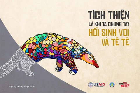 Hành động ngay trước khi voi, tê tê chỉ còn là một ký ức - Ảnh 3. Hành động ngay trước khi voi, tê tê chỉ còn là một ký ức - Ảnh 3.