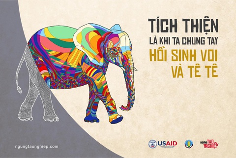 Hành động ngay trước khi voi, tê tê chỉ còn là một ký ức - Ảnh 4. Hành động ngay trước khi voi, tê tê chỉ còn là một ký ức - Ảnh 4.