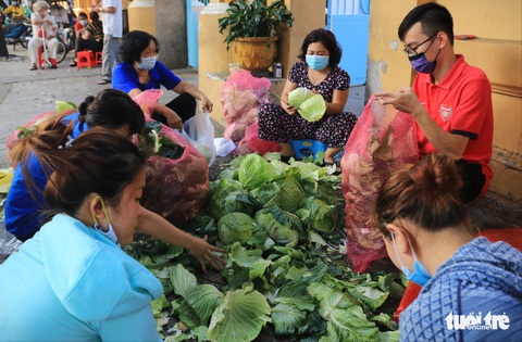 Người trẻ Sài Gòn thuê xe ra tận Hải Dương mua bắp cải về bán giá... 0 đồng - Ảnh 6. Người trẻ Sài Gòn thuê xe ra tận Hải Dương mua bắp cải về bán giá... 0 đồng - Ảnh 6.