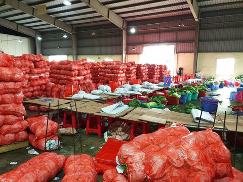 Người trẻ Sài Gòn thuê xe ra tận Hải Dương mua bắp cải về bán giá... 0 đồng - Ảnh 7. Người trẻ Sài Gòn thuê xe ra tận Hải Dương mua bắp cải về bán giá... 0 đồng - Ảnh 7.