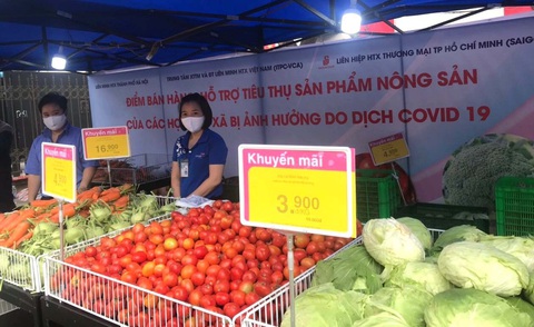 Nhiều siêu thị giải cứu nông sản Hải Dương - Ảnh 1.
