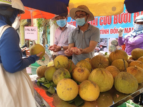 Dân Sài Gòn đua nhau giải cứu bưởi Đồng Nai - Ảnh 3. Dân Sài Gòn đua nhau giải cứu bưởi Đồng Nai - Ảnh 3.