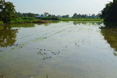 luatiengiang luatiengiang