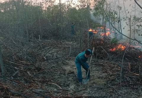 Rừng trồng ven biển bốc cháy ngùn ngụt, hơn 100 người chữa cháy - Ảnh 3. Rừng trồng ven biển bốc cháy ngùn ngụt, hơn 100 người chữa cháy - Ảnh 3.