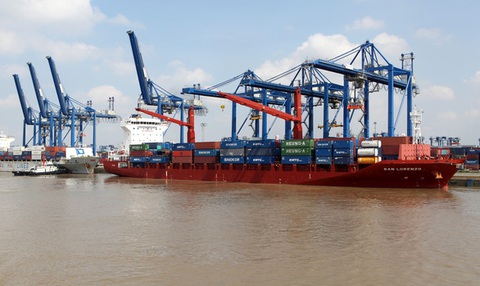 Xuất khẩu nông sản sang Trung Quốc bằng đường biển cũng gặp khó - Ảnh 1. Xuất khẩu nông sản sang Trung Quốc bằng đường biển cũng gặp khó - Ảnh 1.