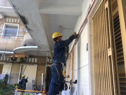 TP.HCM khởi động Tháng thanh niên: Tạo mảng xanh cho chung cư, làm đẹp các hẻm - Ảnh 3. TP.HCM khởi động Tháng thanh niên: Tạo mảng xanh cho chung cư, làm đẹp các hẻm - Ảnh 3.
