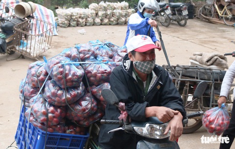 Nông sản hết cảnh đổ xuống sông Hồng nhưng khách mua trả tiền tùy tâm - Ảnh 1. Nông sản hết cảnh đổ xuống sông Hồng nhưng khách mua trả tiền tùy tâm - Ảnh 1.