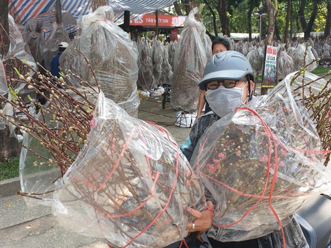 Khách thưa thớt, người bán đào Bắc như ngồi trên đống lửa - Ảnh 5. Khách thưa thớt, người bán đào Bắc như ngồi trên đống lửa - Ảnh 5.
