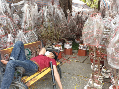 Khách thưa thớt, người bán đào Bắc như ngồi trên đống lửa - Ảnh 4. Khách thưa thớt, người bán đào Bắc như ngồi trên đống lửa - Ảnh 4.