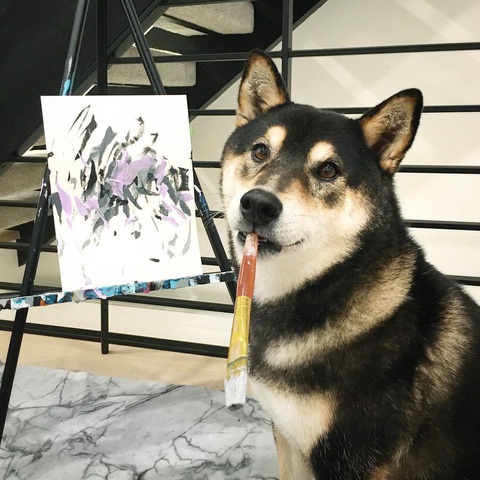 Chó Shiba bán 288 bức tranh tự vẽ, thu gần 18.000 USD - Ảnh 2. Chó Shiba bán 288 bức tranh tự vẽ, thu gần 18.000 USD - Ảnh 2.