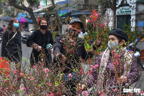 Gần tết, hoa thì tươi mà lòng người thì héo - Ảnh 10. Gần tết, hoa thì tươi mà lòng người thì héo - Ảnh 10.