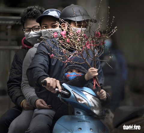 Gần tết, hoa thì tươi mà lòng người thì héo - Ảnh 11. Gần tết, hoa thì tươi mà lòng người thì héo - Ảnh 11.