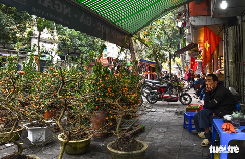 Gần tết, hoa thì tươi mà lòng người thì héo - Ảnh 8. Gần tết, hoa thì tươi mà lòng người thì héo - Ảnh 8.