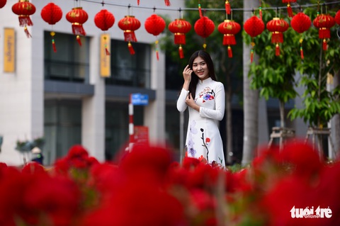 Hội hoa xuân Phú Mỹ Hưng 2021 giảm quy mô để phòng dịch COVID-19 - Ảnh 1. Hội hoa xuân Phú Mỹ Hưng 2021 giảm quy mô để phòng dịch COVID-19 - Ảnh 1.
