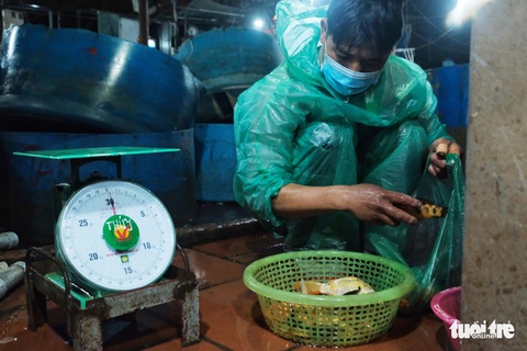 Khan hàng, cá chép tăng giá gấp ba trong ngày cúng ông Công, ông Táo - Ảnh 4. Khan hàng, cá chép tăng giá gấp ba trong ngày cúng ông Công, ông Táo - Ảnh 4.