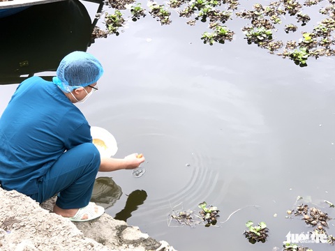Lễ tiễn ông Công, ông Táo đặc biệt tại nơi điều trị bệnh nhân COVID-19 - Ảnh 5. Lễ tiễn ông Công, ông Táo đặc biệt tại nơi điều trị bệnh nhân COVID-19 - Ảnh 5.