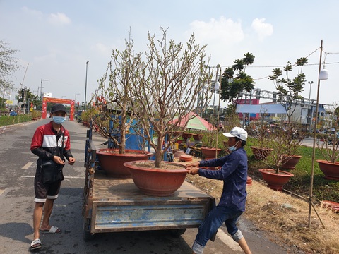 Hoa ế, người bán vẫn tự tin giữ giá, người mua canh me chờ giảm - Ảnh 11. Hoa ế, người bán vẫn tự tin giữ giá, người mua canh me chờ giảm - Ảnh 11.