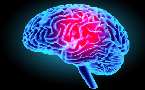 Người hút thuốc, uống rượu, bồ bịch lăng nhăng có ít chất xám hơn người khác - Ảnh 2. Người hút thuốc, uống rượu, bồ bịch lăng nhăng có ít chất xám hơn người khác - Ảnh 2.