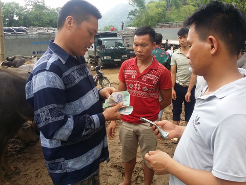 Năm Sửu, đến chợ trâu Nghiên Loan - Phiên chợ thật thà - Ảnh 3. Năm Sửu, đến chợ trâu Nghiên Loan - Phiên chợ thật thà - Ảnh 3.
