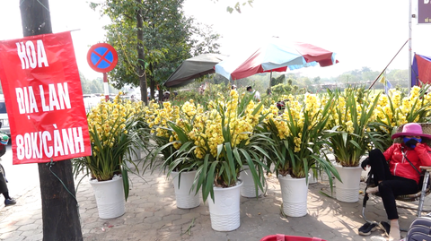 24 tết, người bán hoa tại Hà Nội xả hàng, giảm giá, chỉ mong huề vốn - Ảnh 4. 24 tết, người bán hoa tại Hà Nội xả hàng, giảm giá, chỉ mong huề vốn - Ảnh 4.